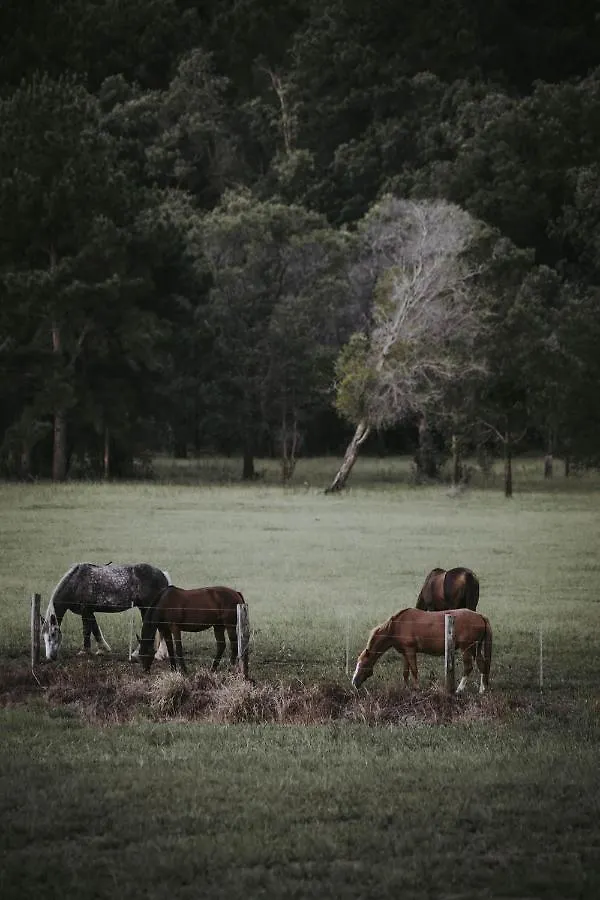 Sixty6 Acres Sunshine Coast Farmstay Woombye