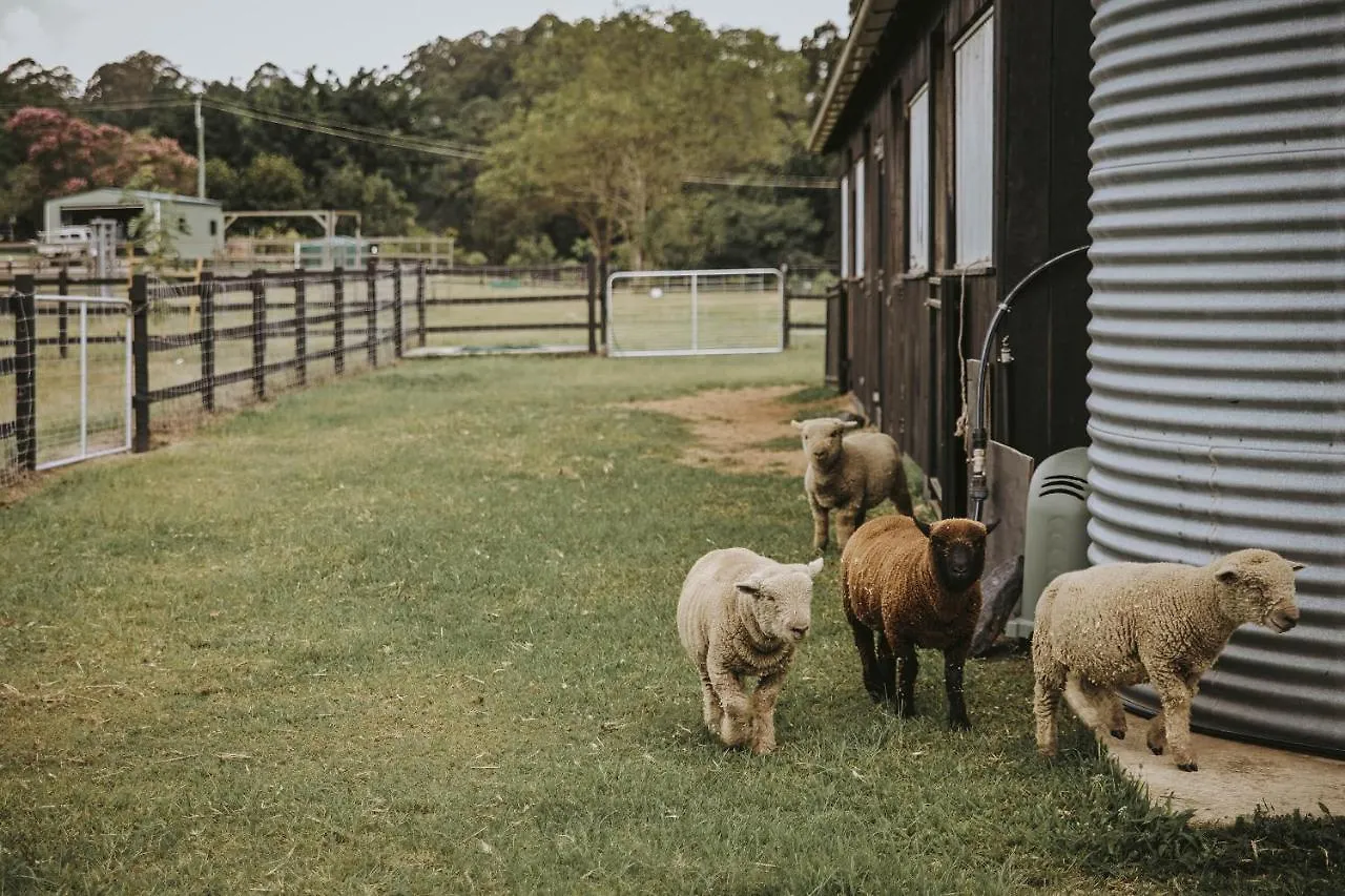 팜스테이 Sixty6 Acres Sunshine Coast Farmstay 움비